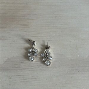 Elegant Silver Crystal Drop Earrings